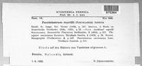 Naohidemyces vaccinii image
